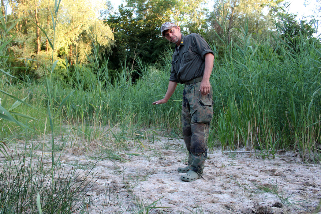 Ranger Björn Lindner im ausgetrockneten Wechselkrötenteich